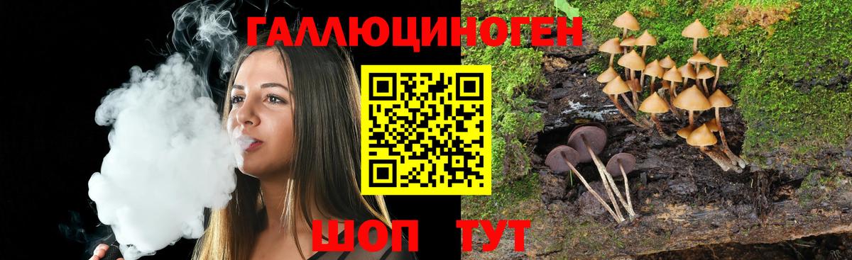 Псилоцибиновые грибы прущие грибы Югорск